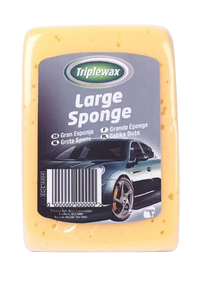 Large_Sponge-removebg-preview